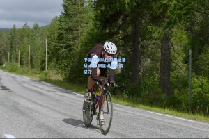 中国游泳队巴黎奥运备战冲刺 新星崛起老将坚守