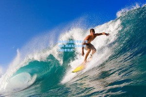 综合格斗巨星李龙卫冕成功 激战五回合击败挑战者张虎