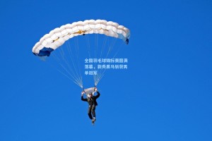 全国羽毛球锦标赛圆满落幕，新秀黑马斩获男单冠军