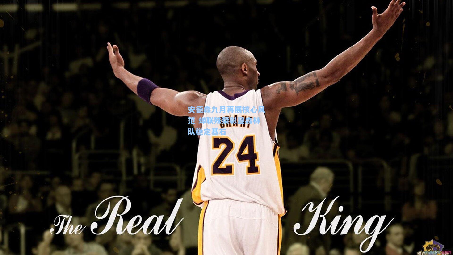 安德森九月再展核心风范 蝉联殊荣彰显森林队稳定基石